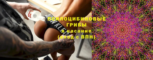 кристаллы Горняк
