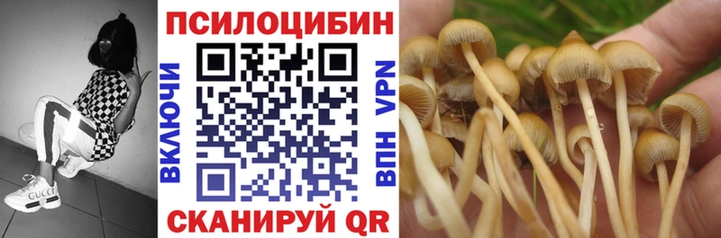 Купить где Бологое Галлюциногенные грибы прущие грибы